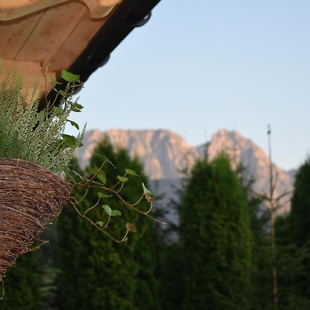 Fiedorowka Villa Zakopane Luaran gambar