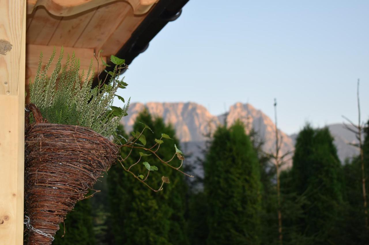 Fiedorowka Villa Zakopane Luaran gambar