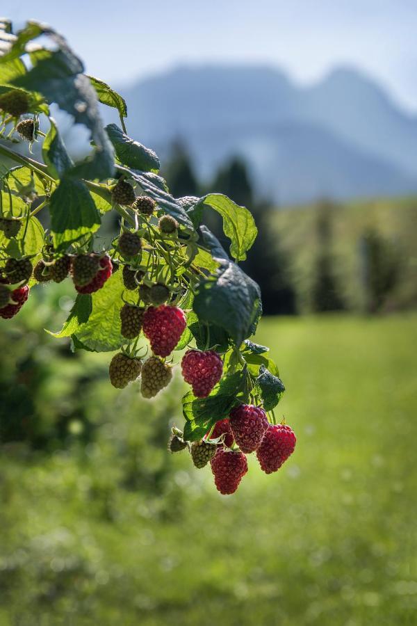Fiedorowka Villa Zakopane Luaran gambar
