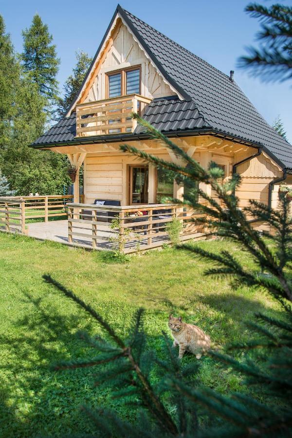 Fiedorowka Villa Zakopane Luaran gambar