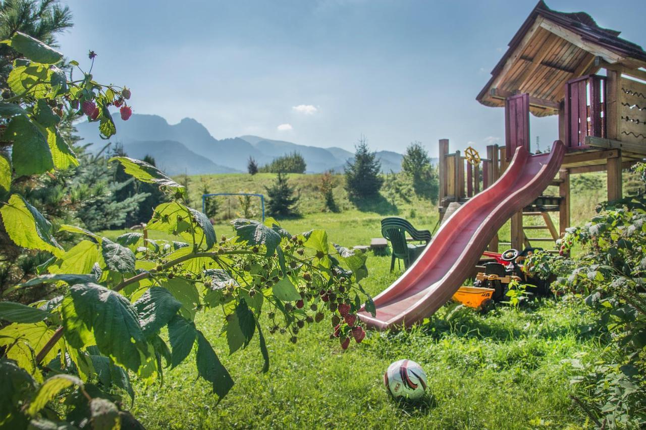 Fiedorowka Villa Zakopane Luaran gambar