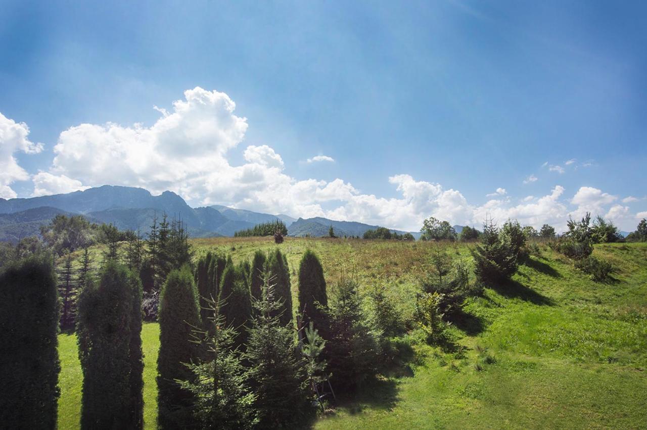 Fiedorowka Villa Zakopane Luaran gambar